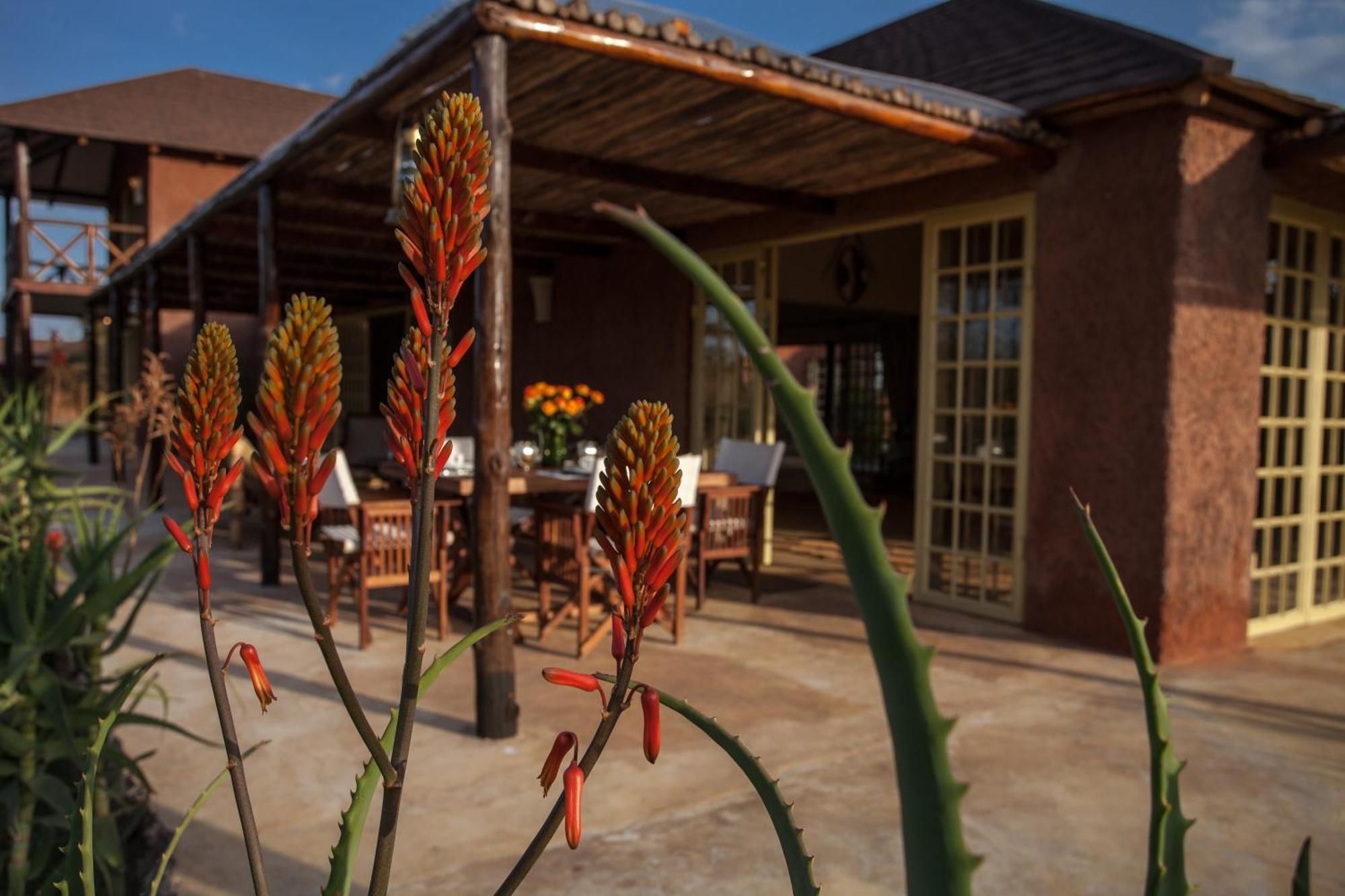 Kili Villa Kilimanjaro Luxury Retreat Arusha Oda fotoğraf