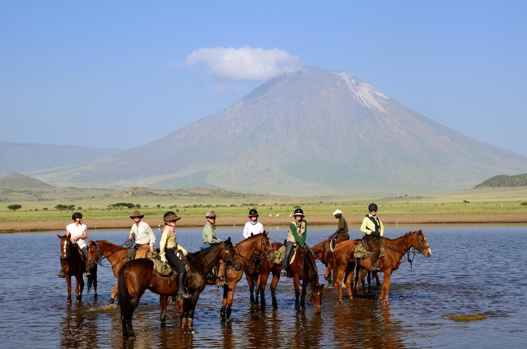 Kili Villa Kilimanjaro Luxury Retreat Arusha Dış mekan fotoğraf